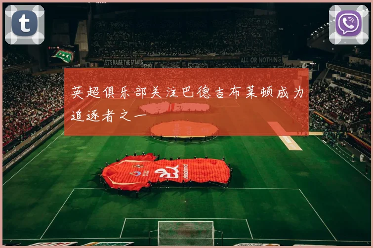 英超俱乐部关注巴德吉布莱顿成为追逐者之一